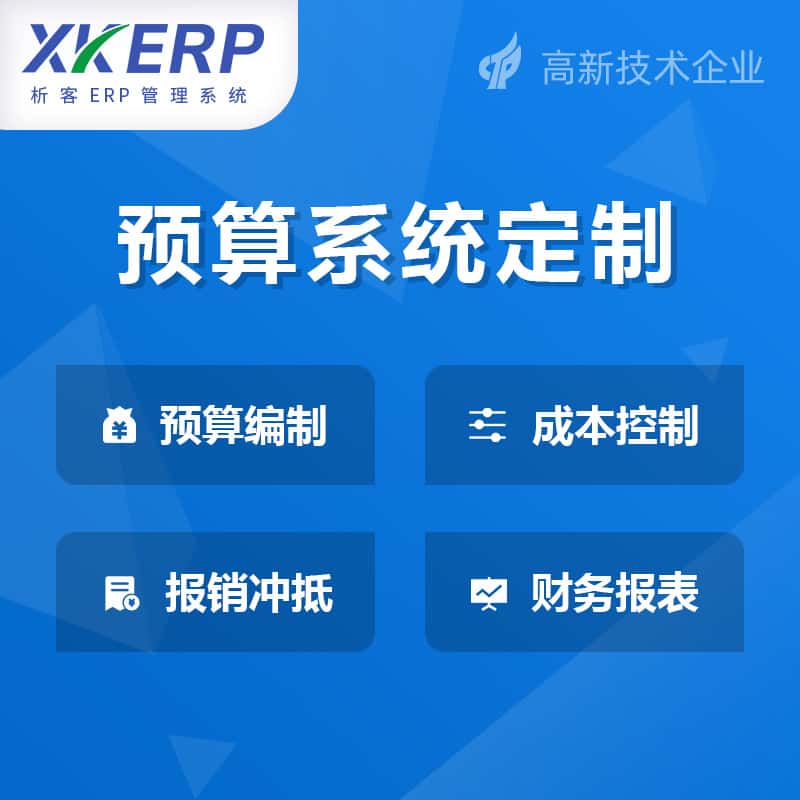 河南财务预算管理系统