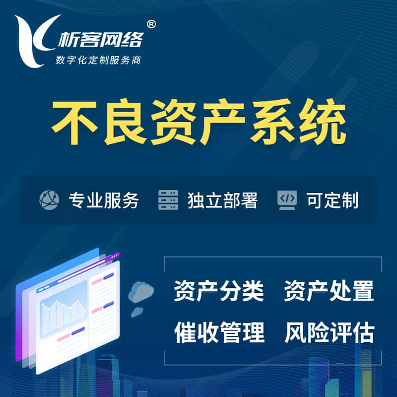 河南不良资产管理系统