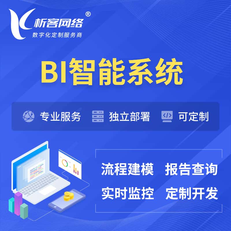 河南BI智能系统 | BI数据可视化